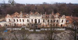 Ruiny pałacowe w Goszczu