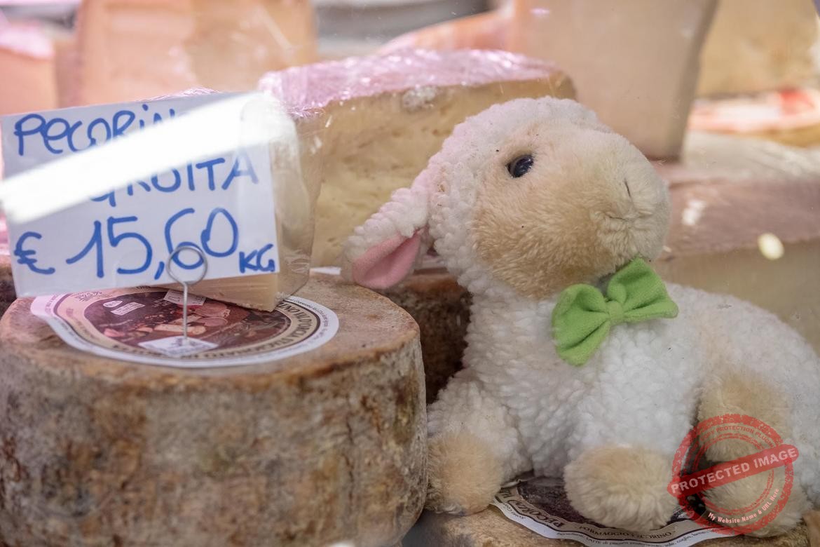 Ser pecorino i owieczka - wystrój sklapu Mercato Centra;e we Florencji